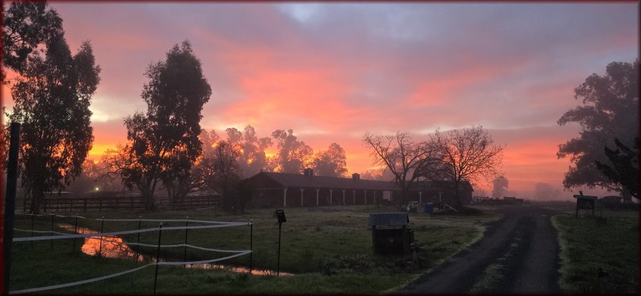 Sunset at the Flying D Family Ranch